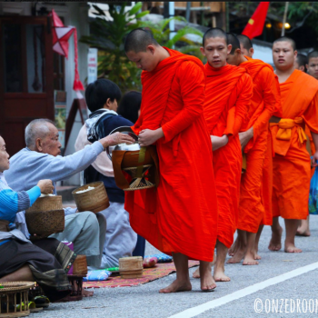 Aalmoesceremonie in één van de achterafstraatjes in Luang Prabang